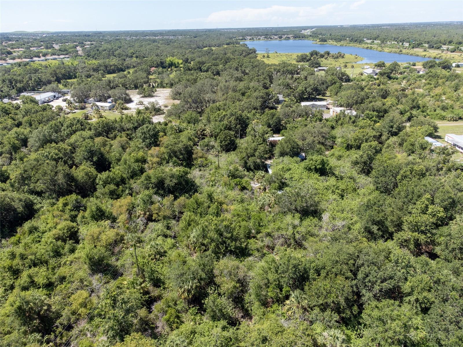 12020 BULLFROG CREEK RD — photo 2