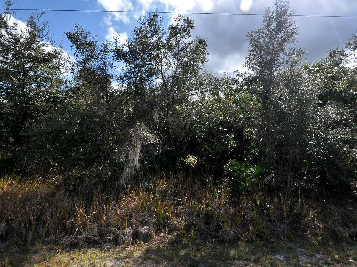 Lot 31 CASCO CIR — photo 2