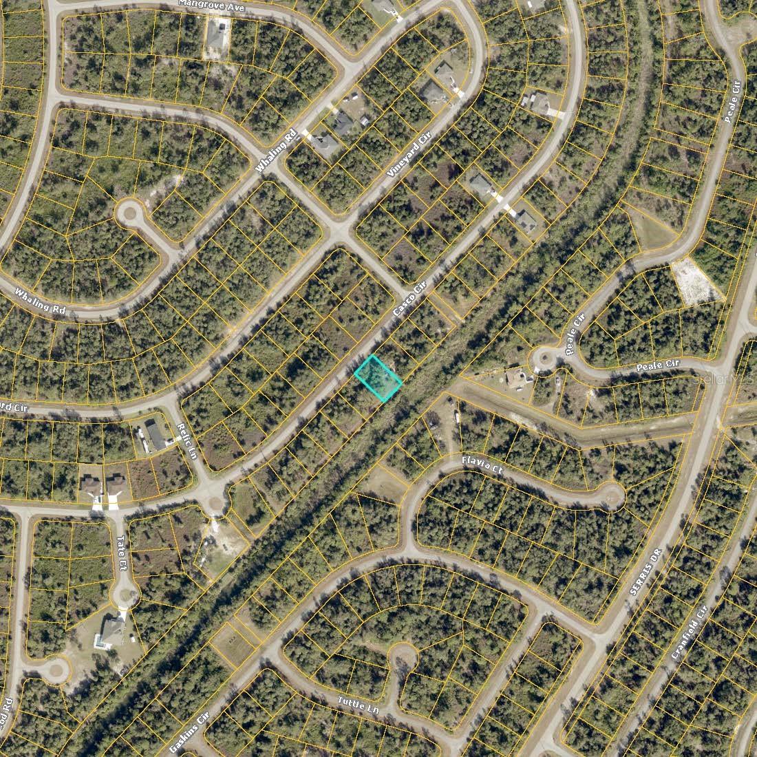 Lot 31 CASCO CIR — photo 3