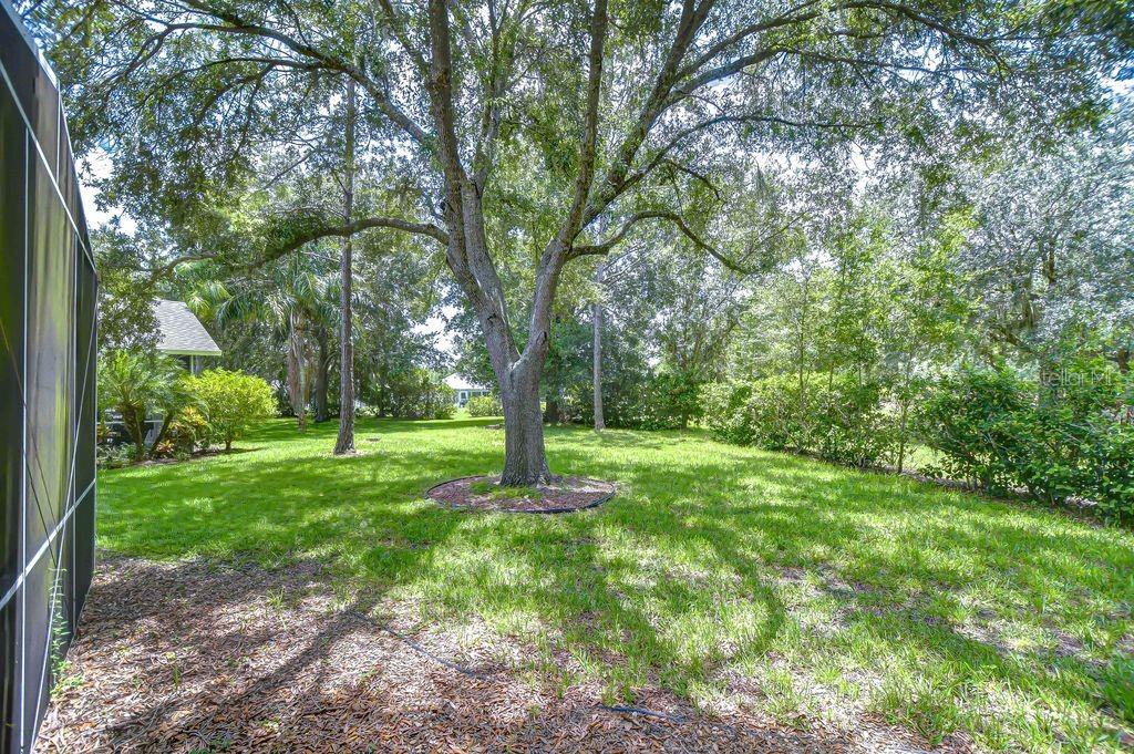 8005 SHADDOCK PL — photo 25