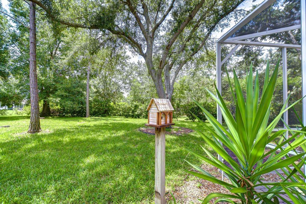 8005 SHADDOCK PL — photo 23