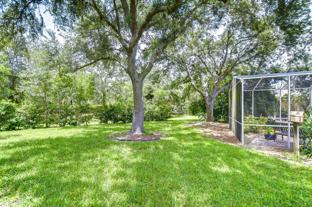8005 SHADDOCK PL — photo 24
