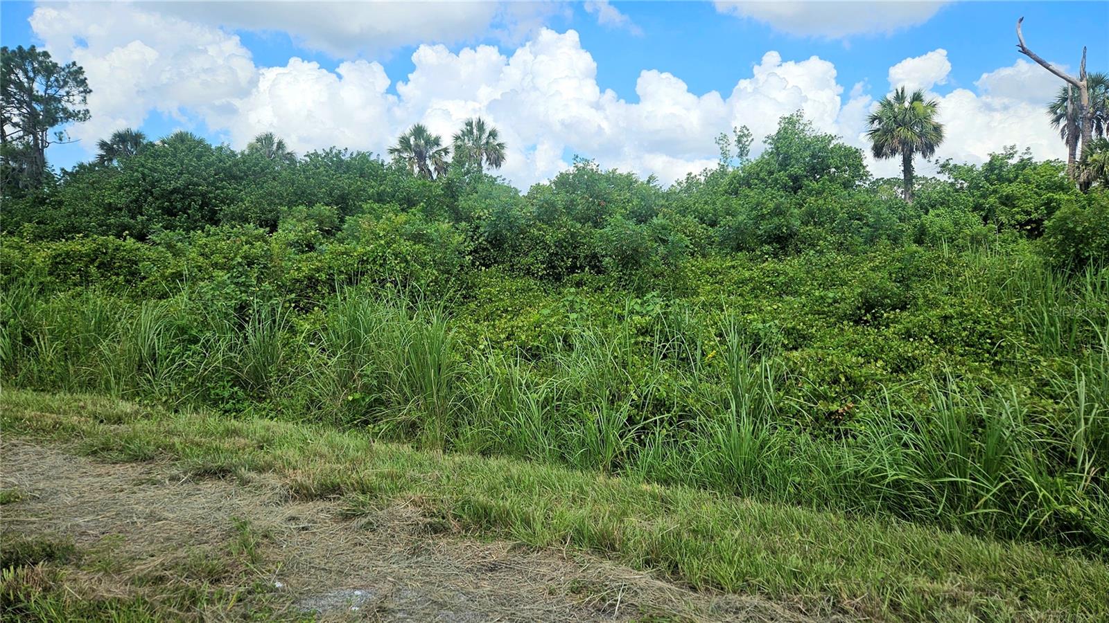 CUSTER LOT #25 CIR — photo 2