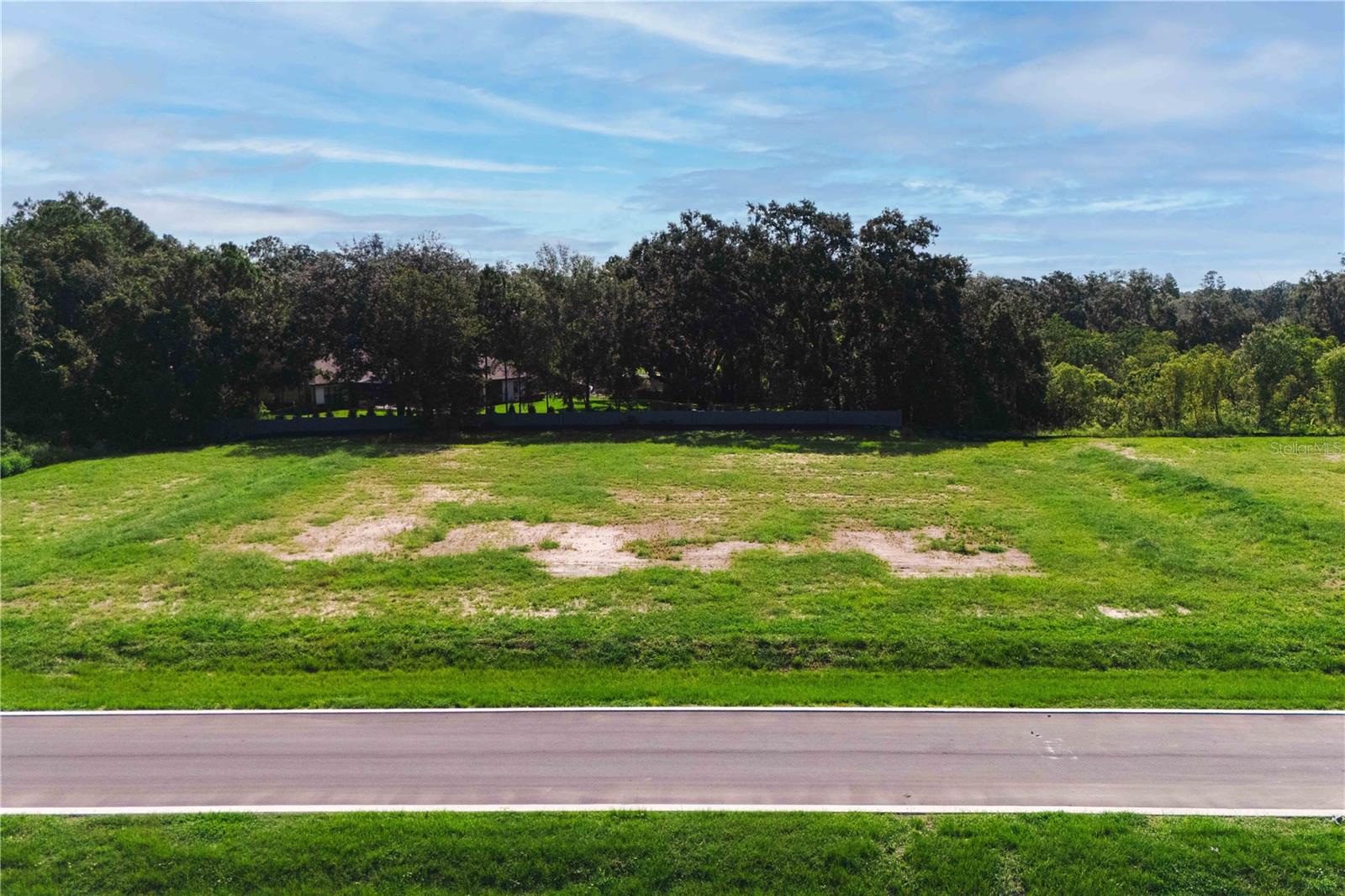 19319 DIMPLE DR — photo 4