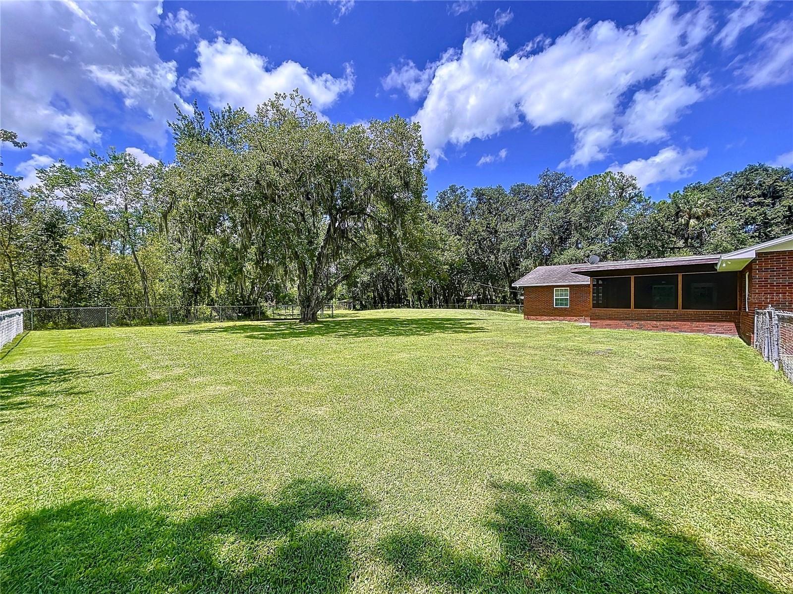 1405 KNIGHTS GRIFFIN RD — photo 81