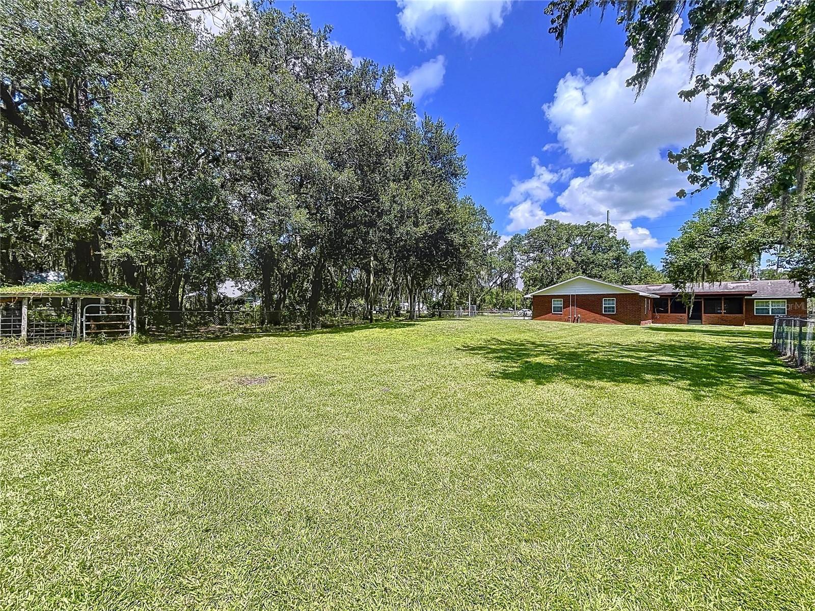 1405 KNIGHTS GRIFFIN RD — photo 79