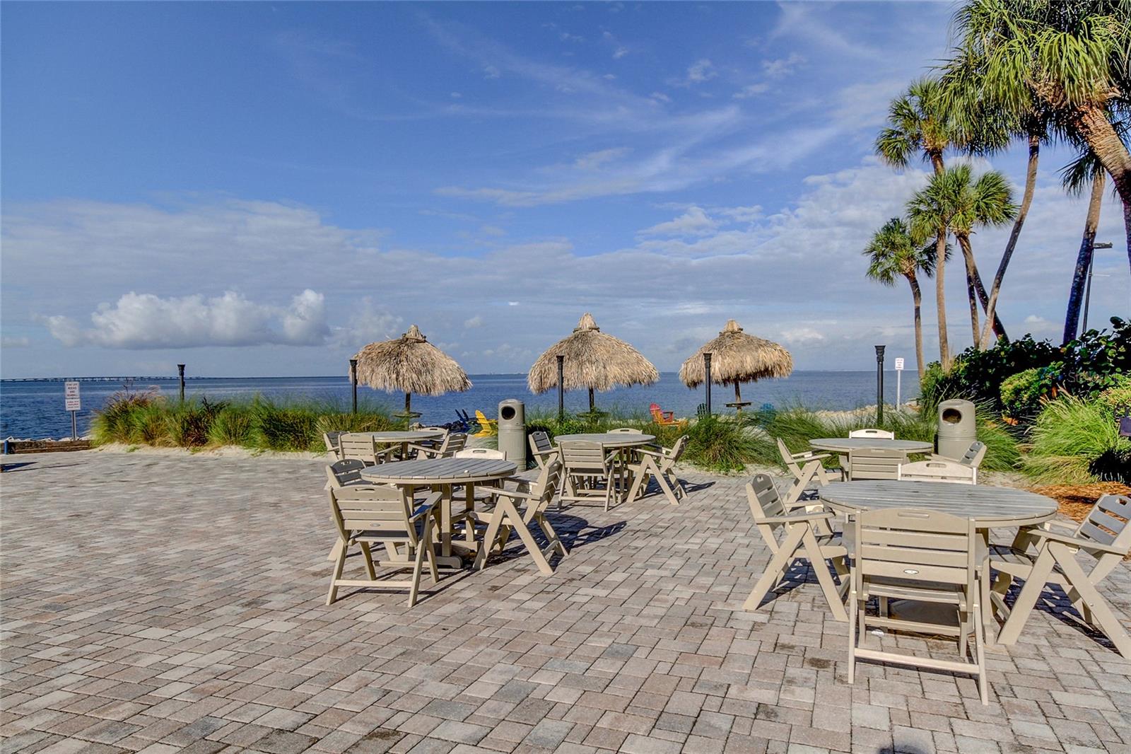 2506 N ROCKY POINT DR #457 — photo 15