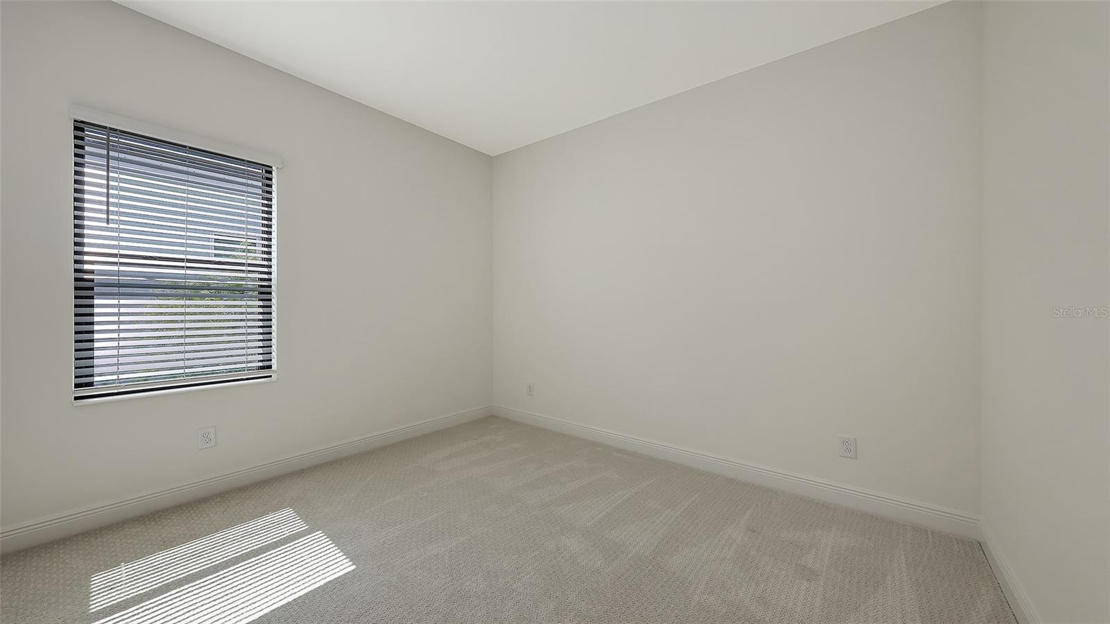 2234 LADY PALM LOOP — photo 35