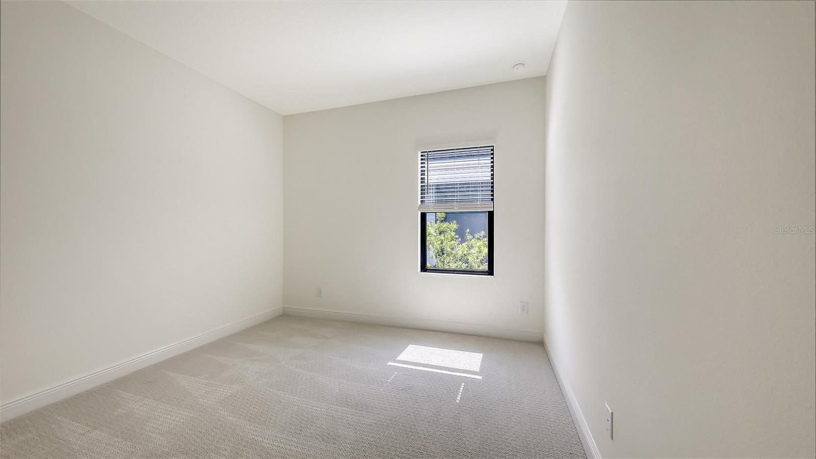 2234 LADY PALM LOOP — photo 40