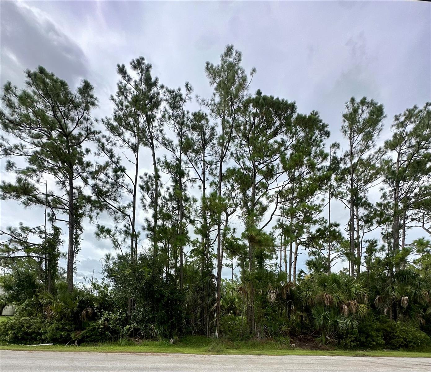 Lot 16 DONATELLO AVE — photo 5