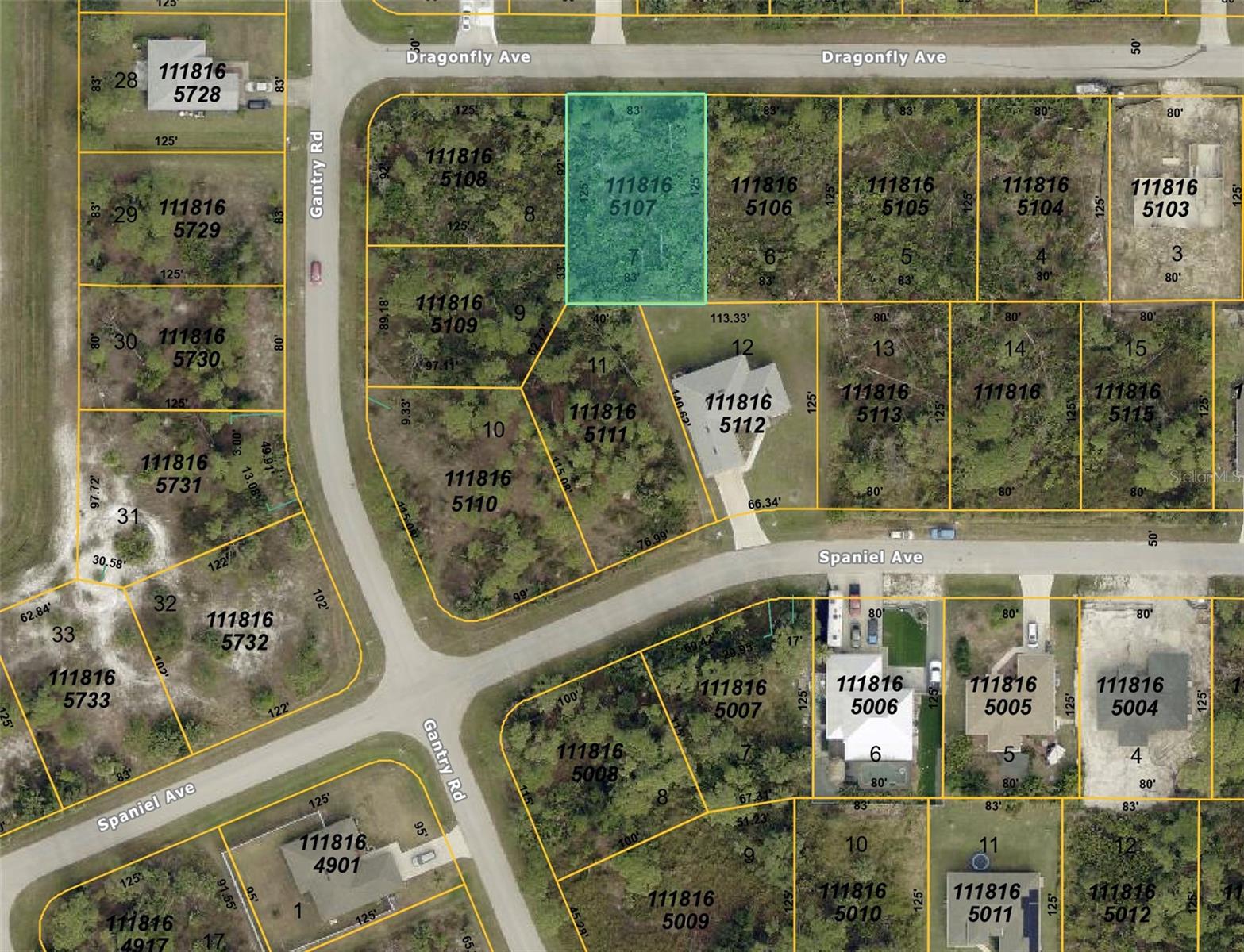 DRAGONFLY AVE — photo 4