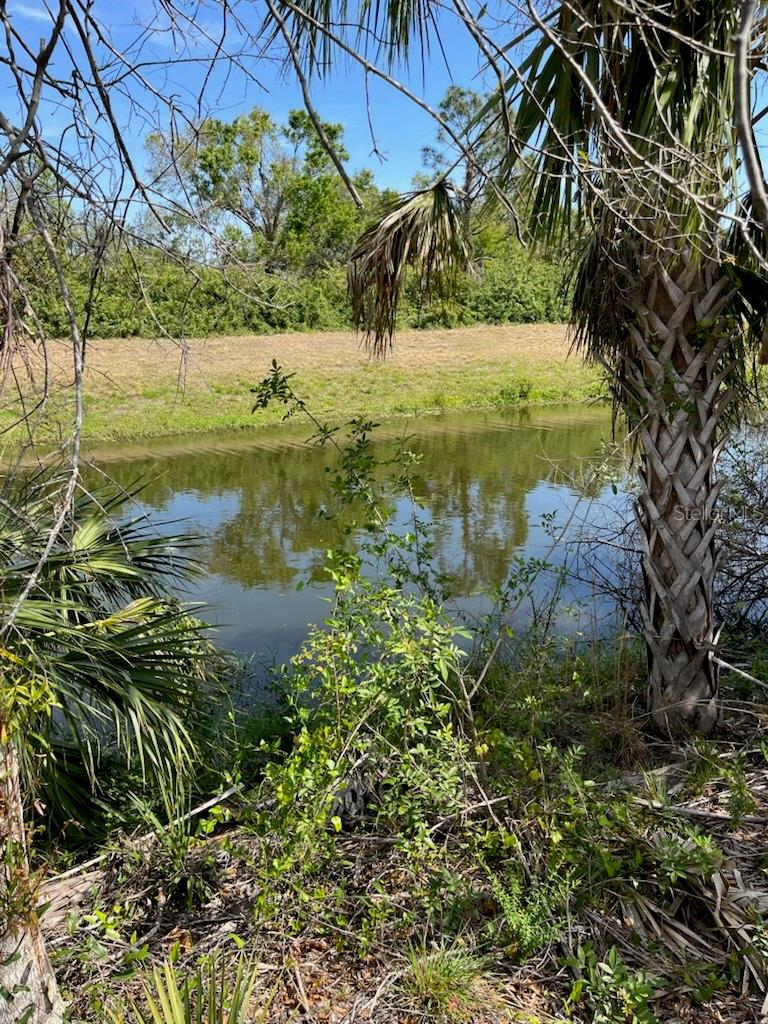 LOT 54 & 55 NEWMAN DR — photo 2
