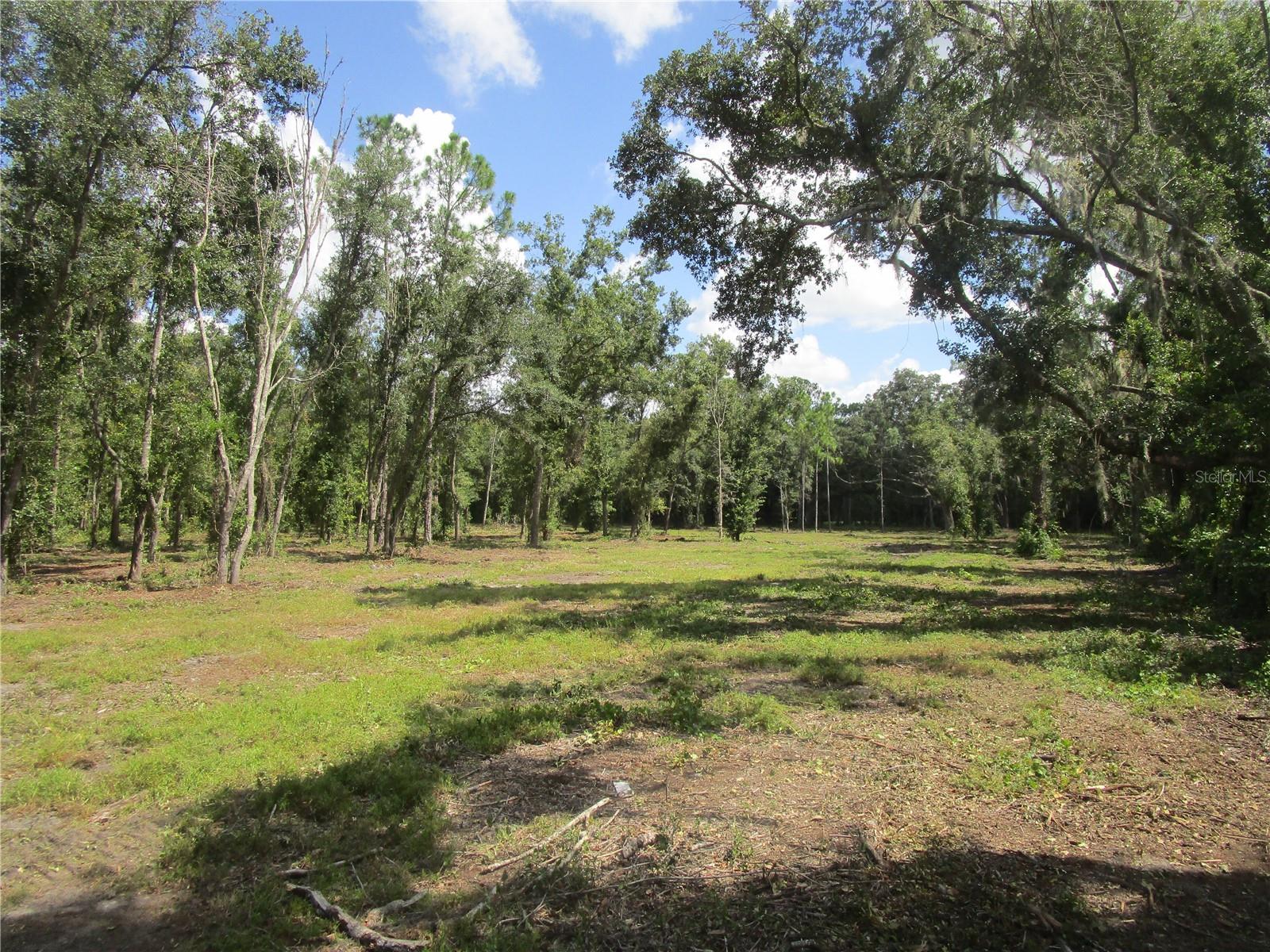 00 CASTLEWOOD RD — photo 3