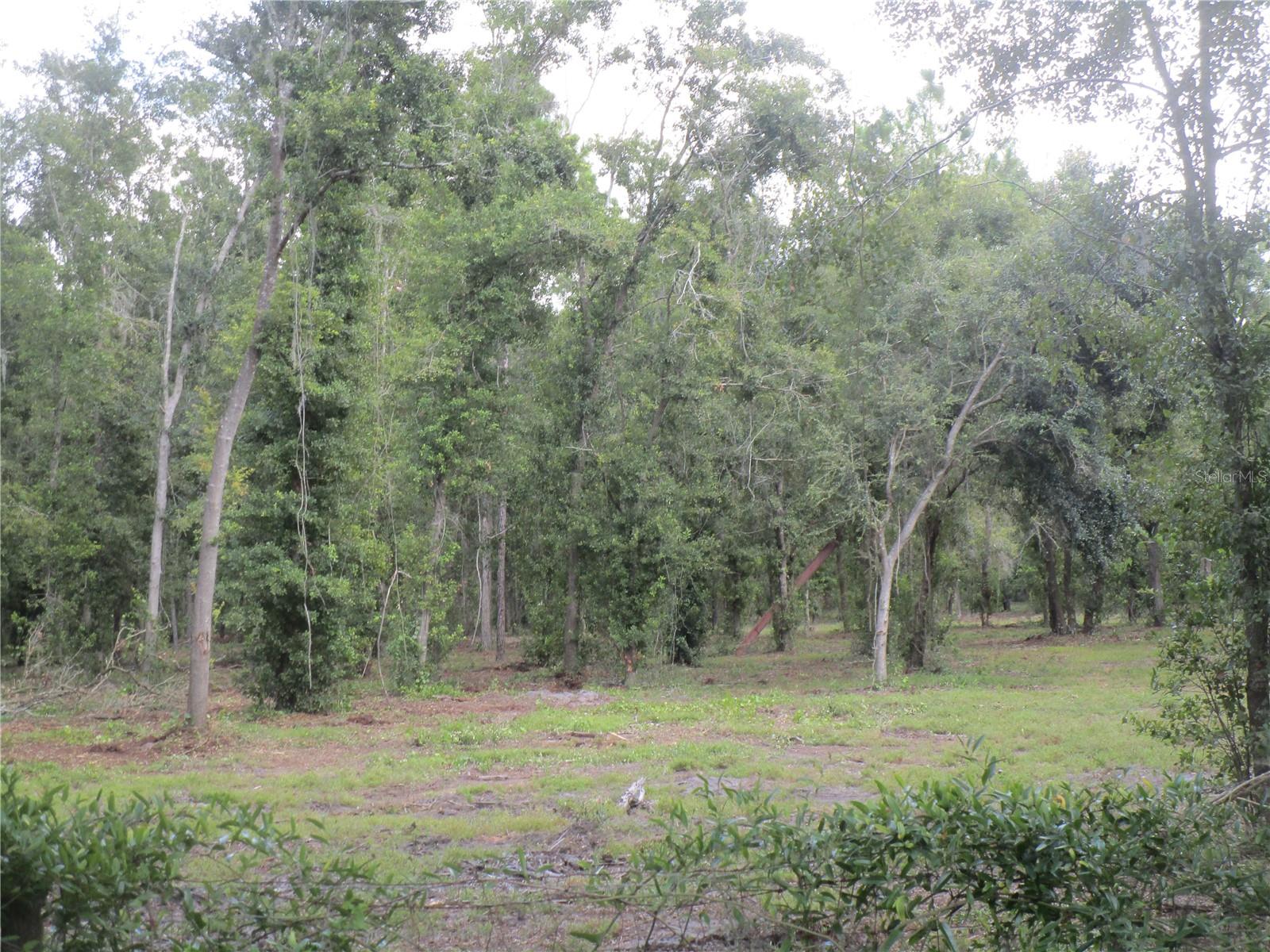 00 CASTLEWOOD RD — photo 4