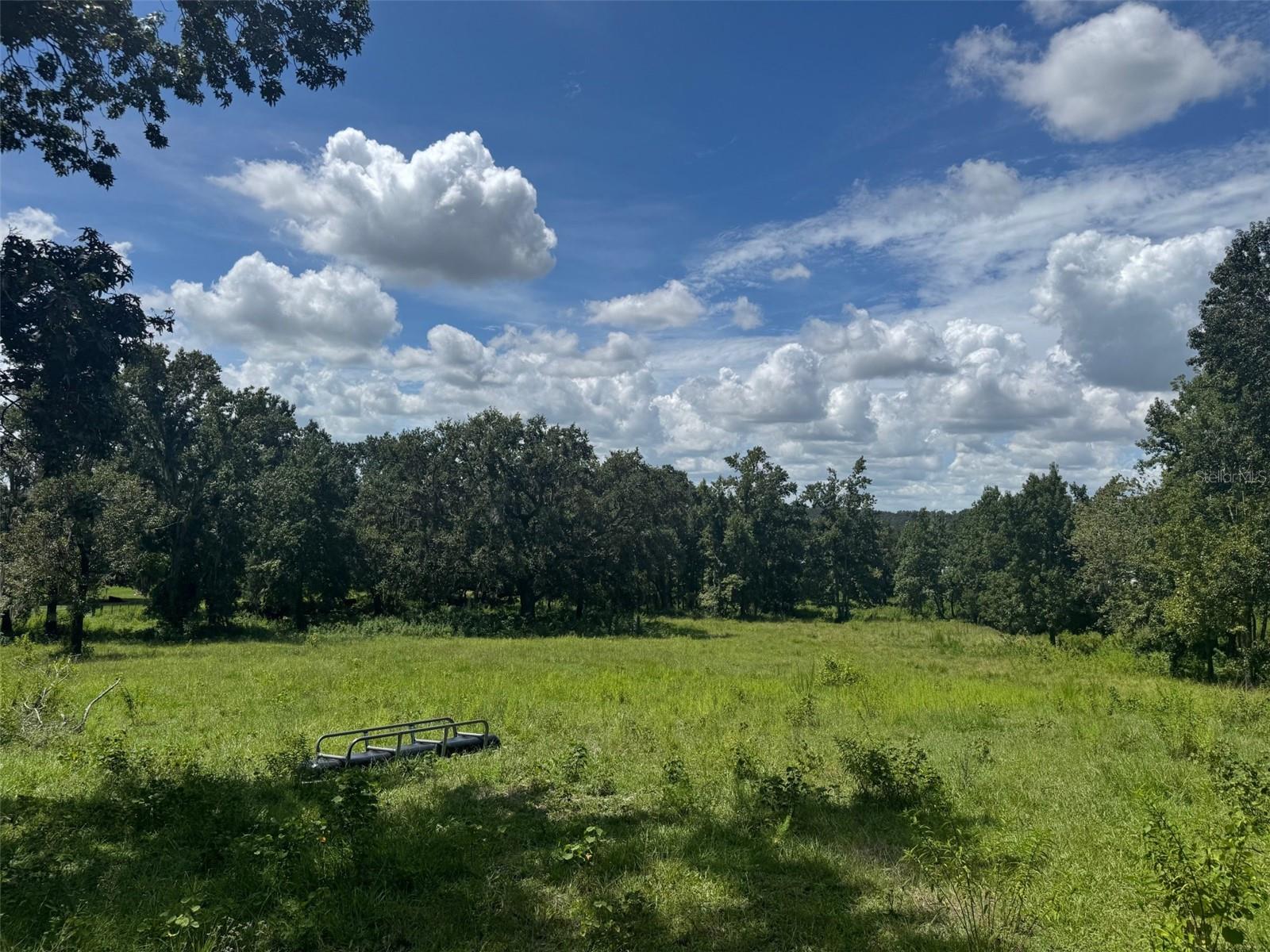 36641 BLANTON RD — photo 48