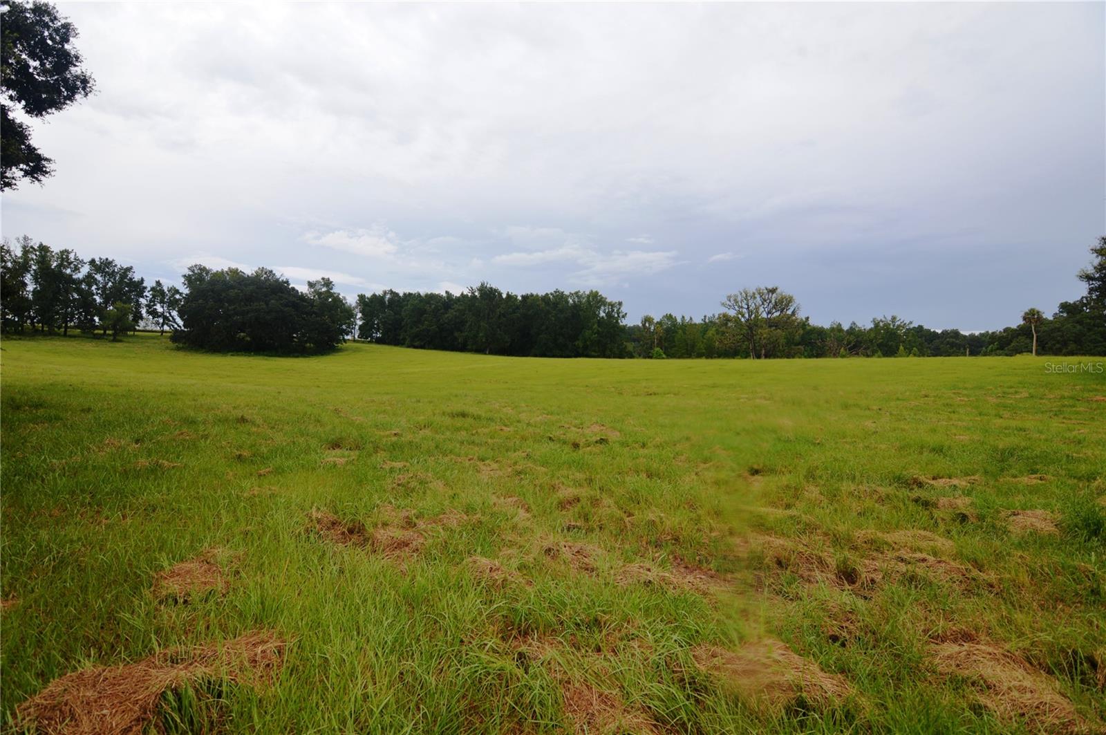 36641 BLANTON RD — photo 62
