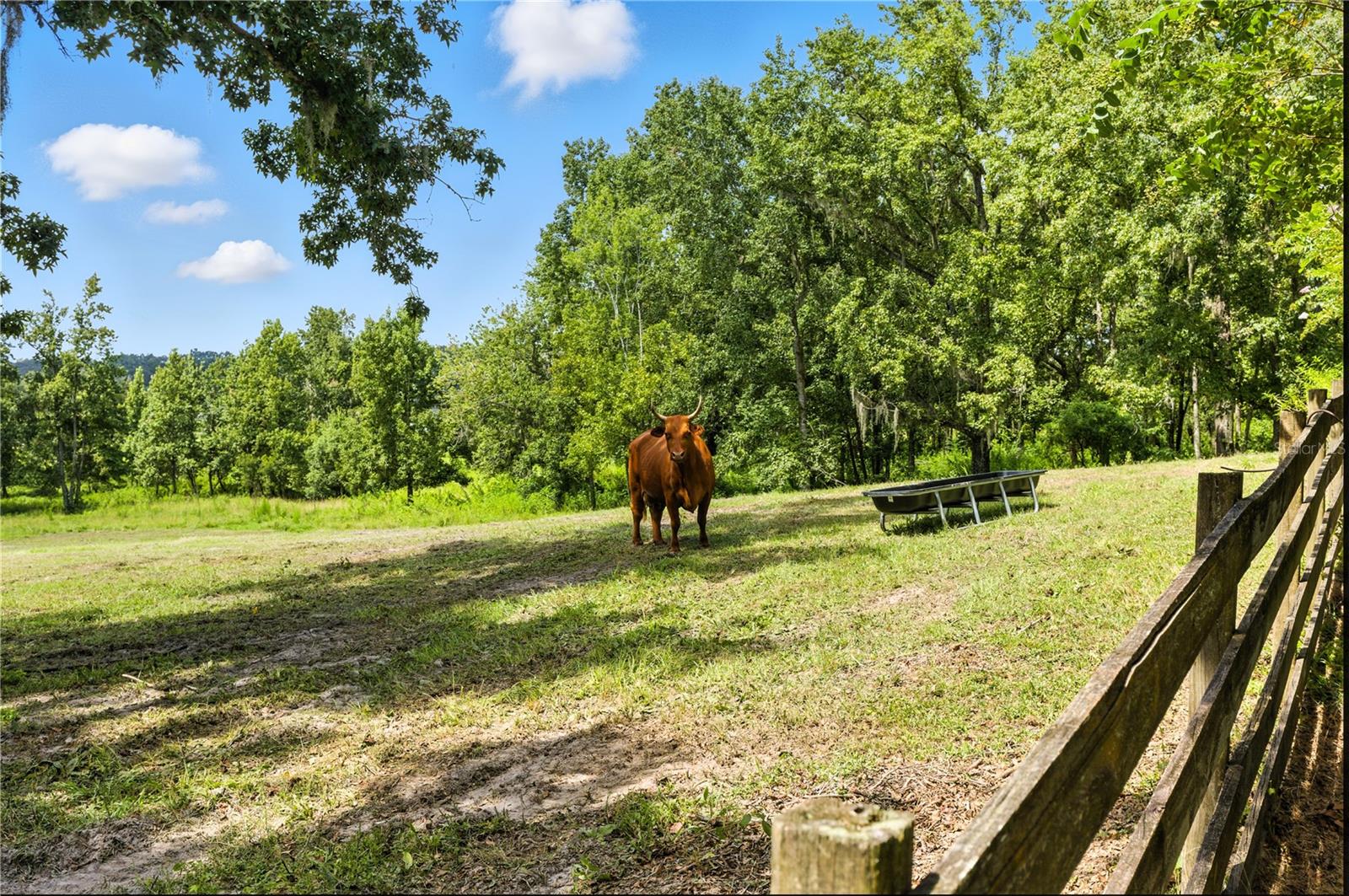 36641 BLANTON RD — photo 47