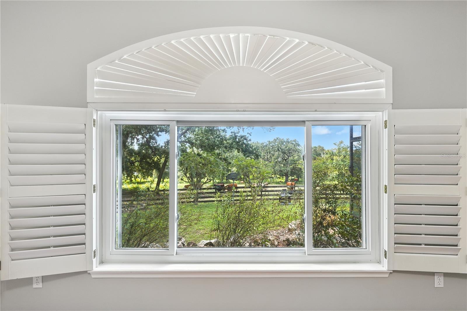 36641 BLANTON RD — photo 13