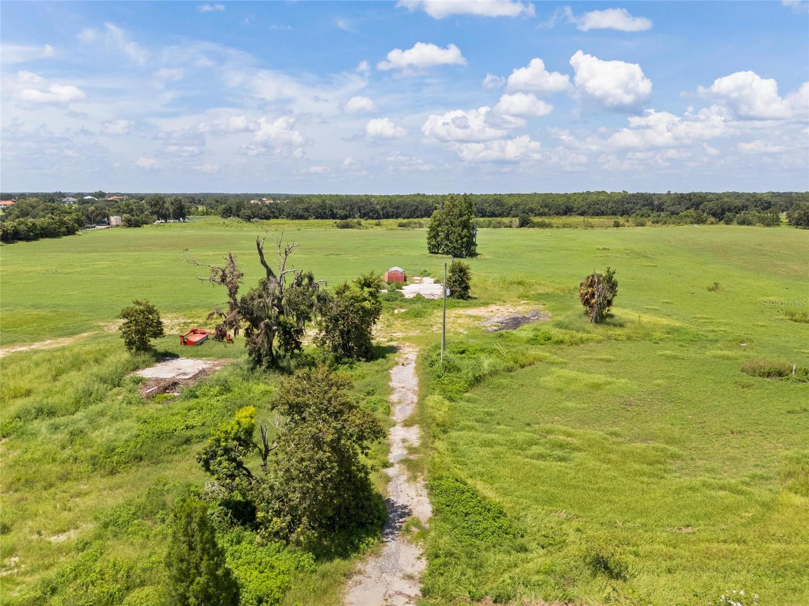 12410 THONOTOSASSA RD — photo 10