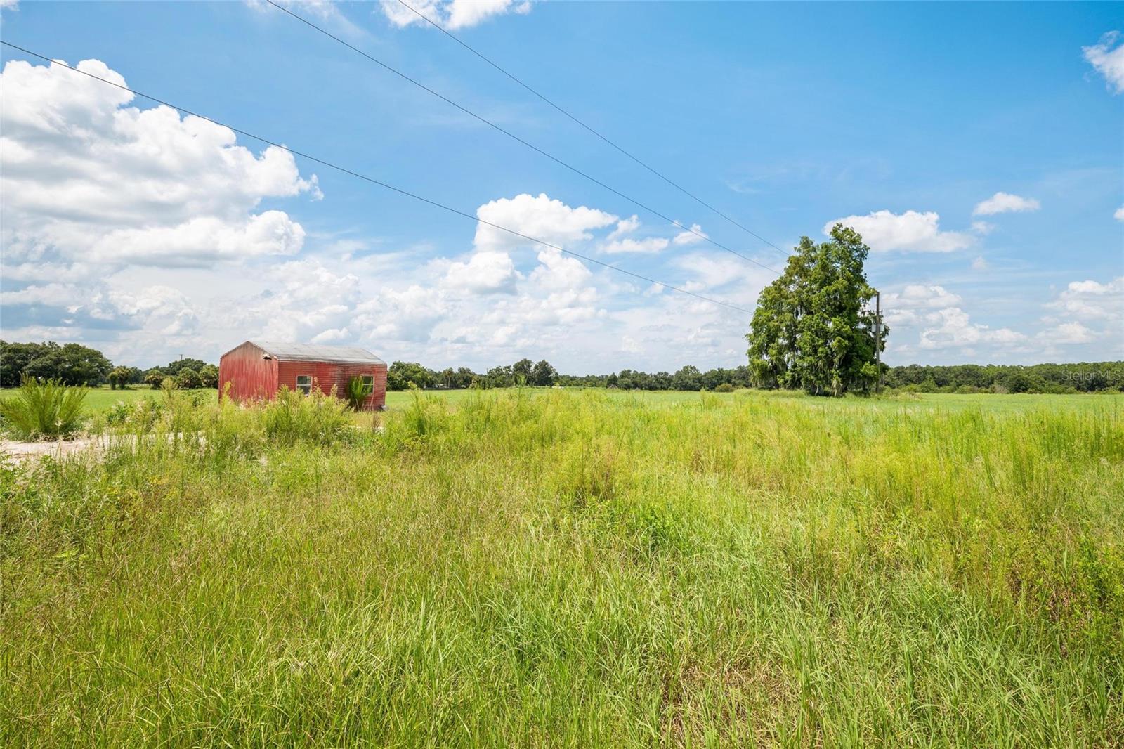 12410 THONOTOSASSA RD — photo 16