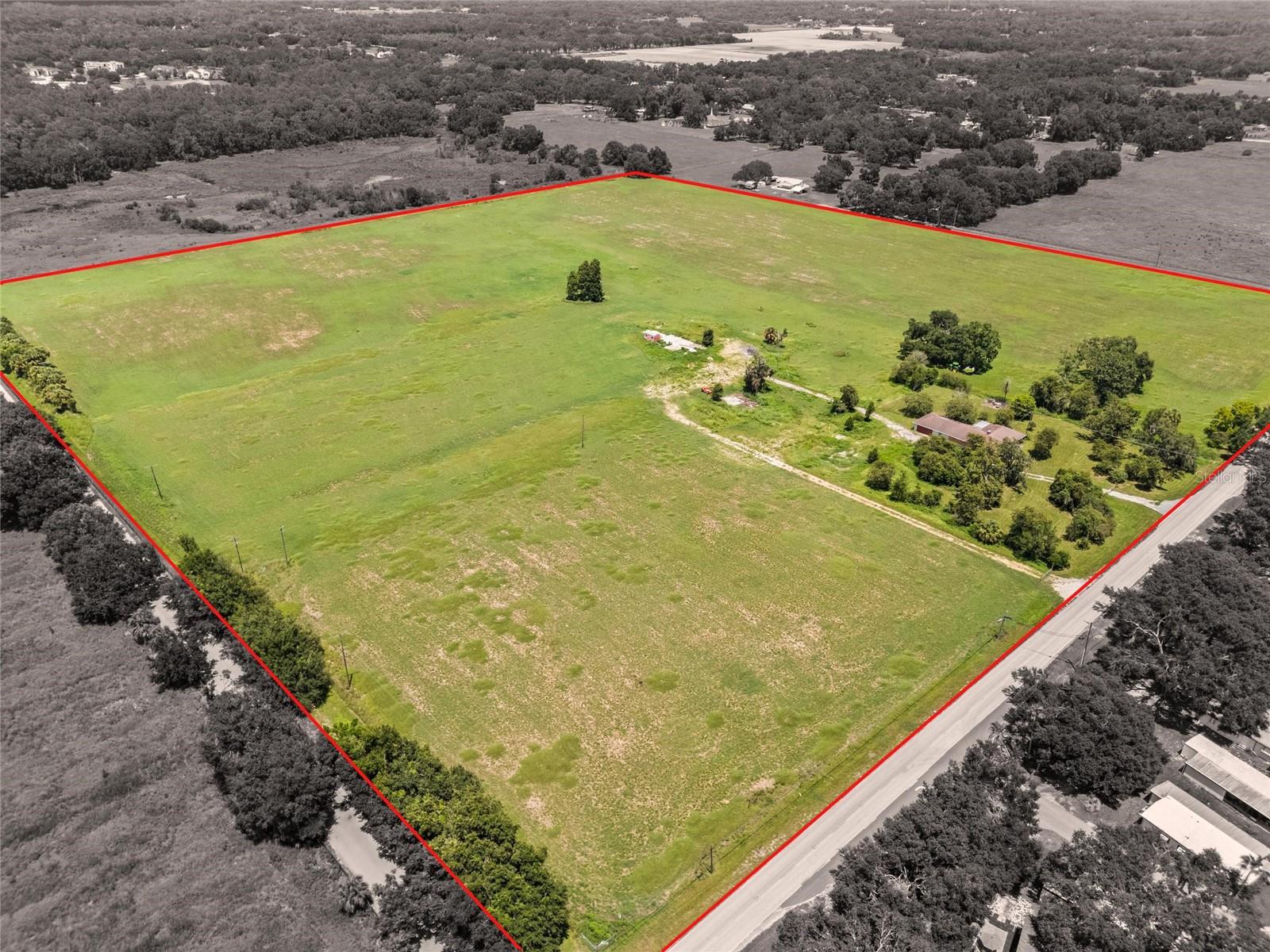 12410 THONOTOSASSA RD — photo 3