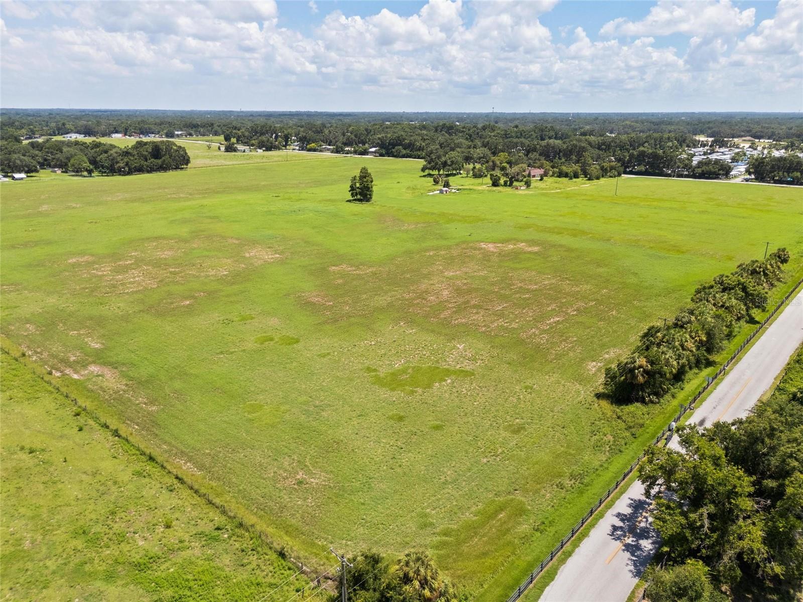 12410 THONOTOSASSA RD — photo 5