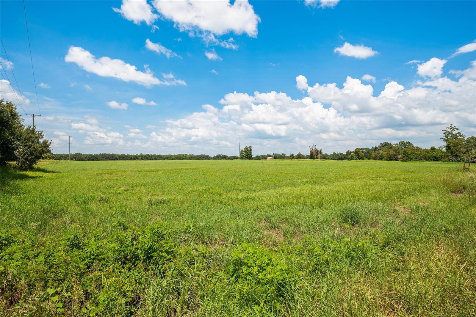 12410 THONOTOSASSA RD — photo 13