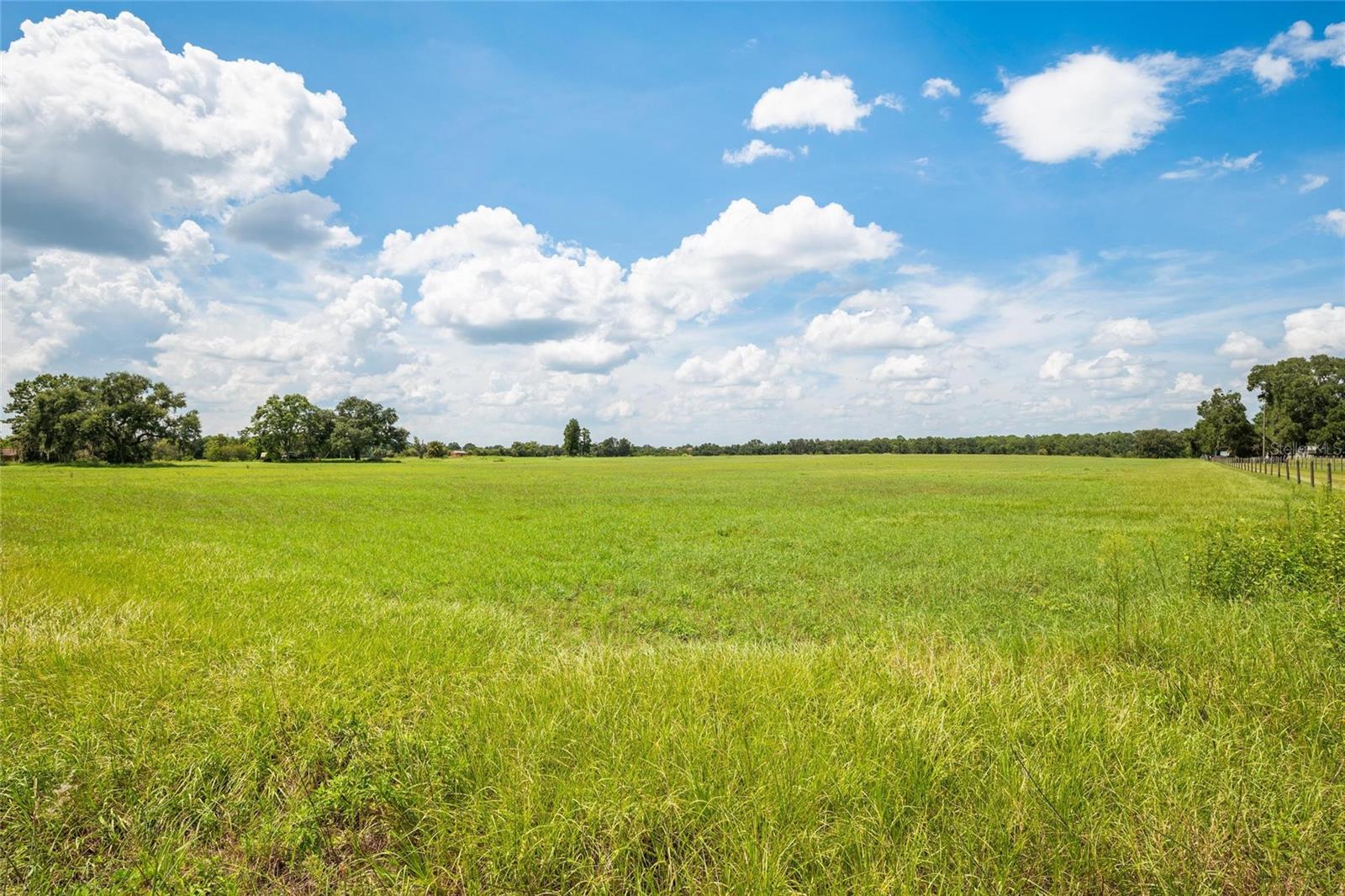 12410 THONOTOSASSA RD — photo 17
