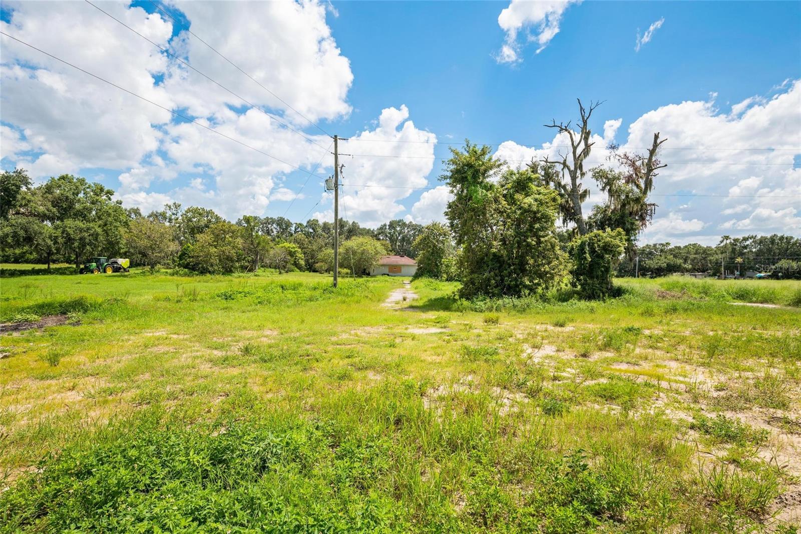 12410 THONOTOSASSA RD — photo 15