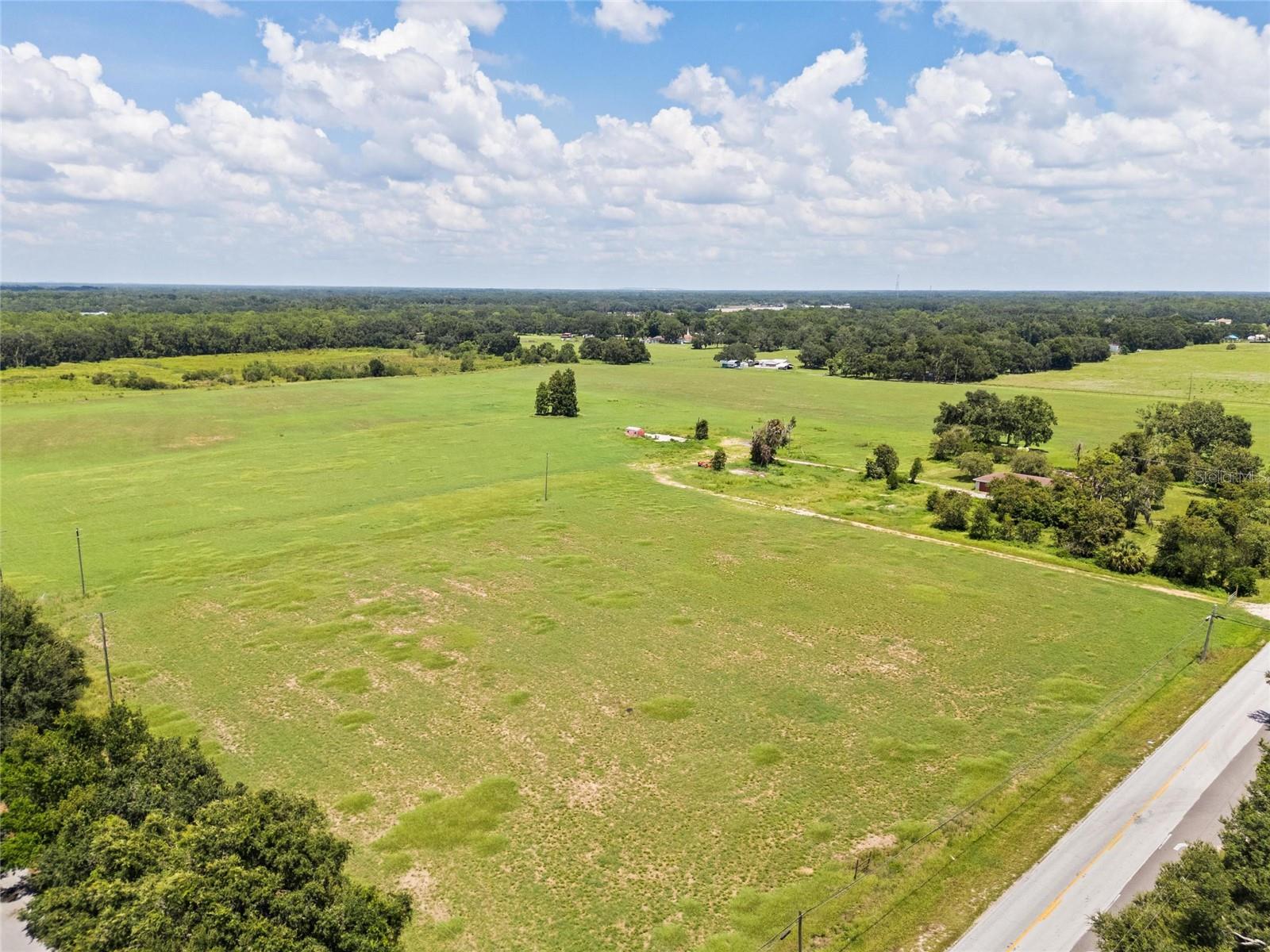 12410 THONOTOSASSA RD — photo 4