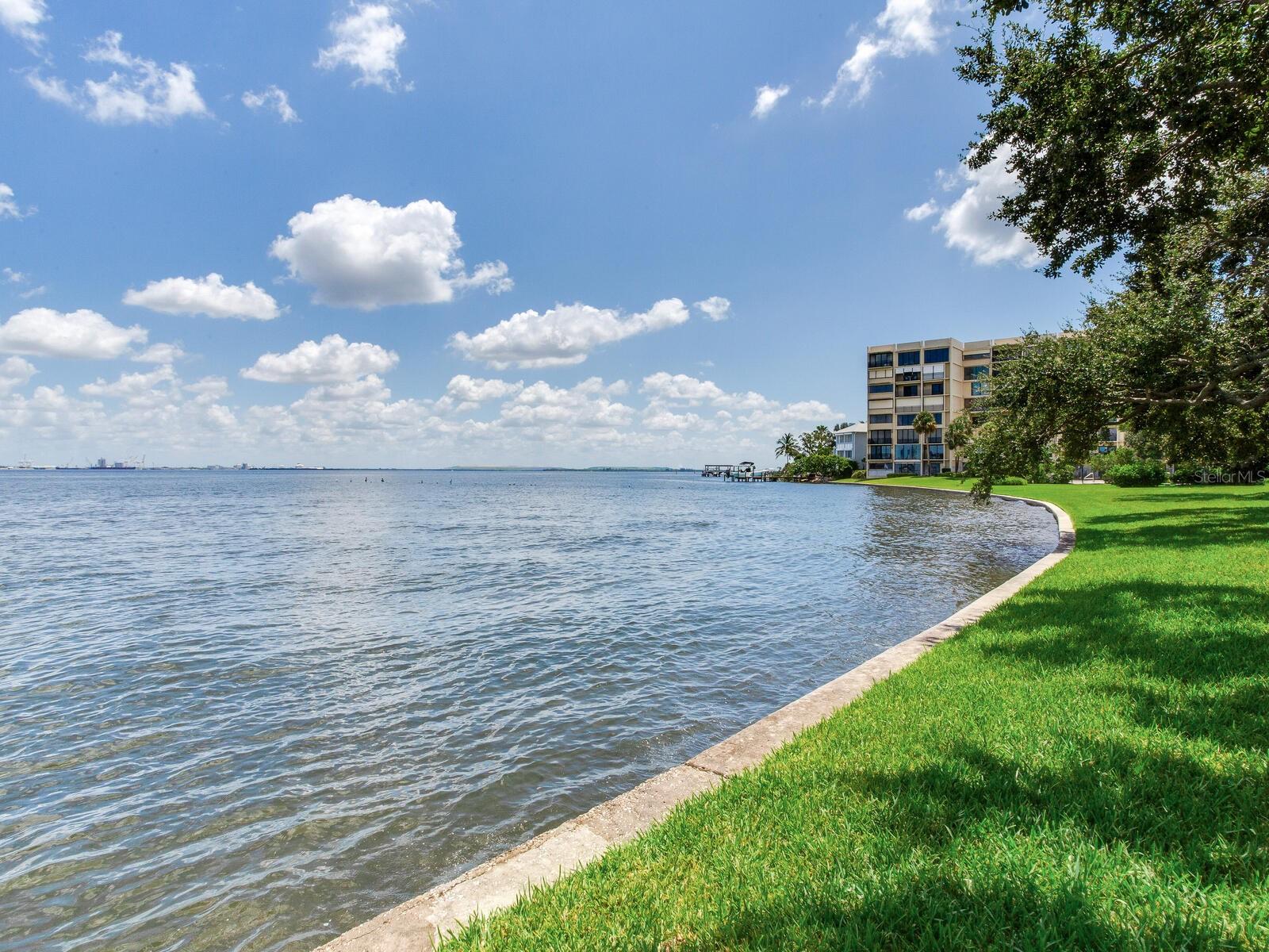 5010 BAYSHORE BLVD #7 — photo 39