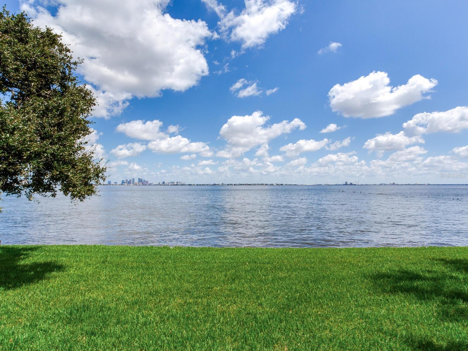 5010 BAYSHORE BLVD #7 — photo 41