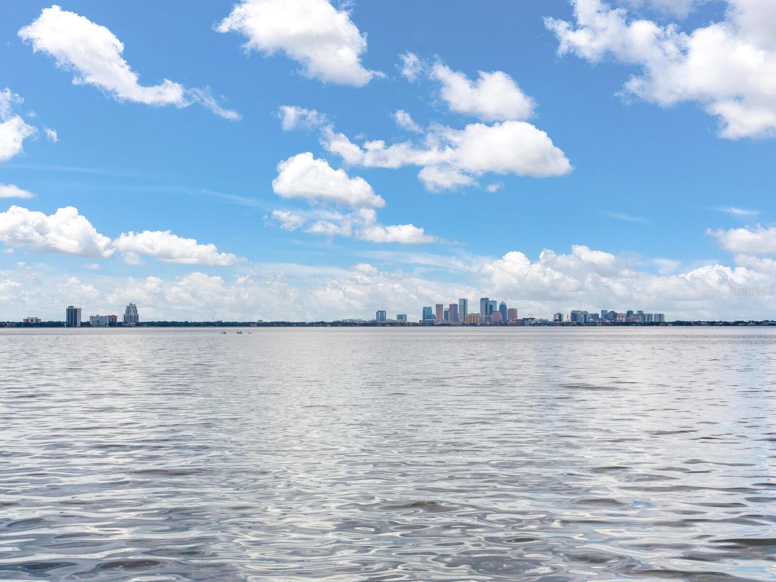 5010 BAYSHORE BLVD #7 — photo 40