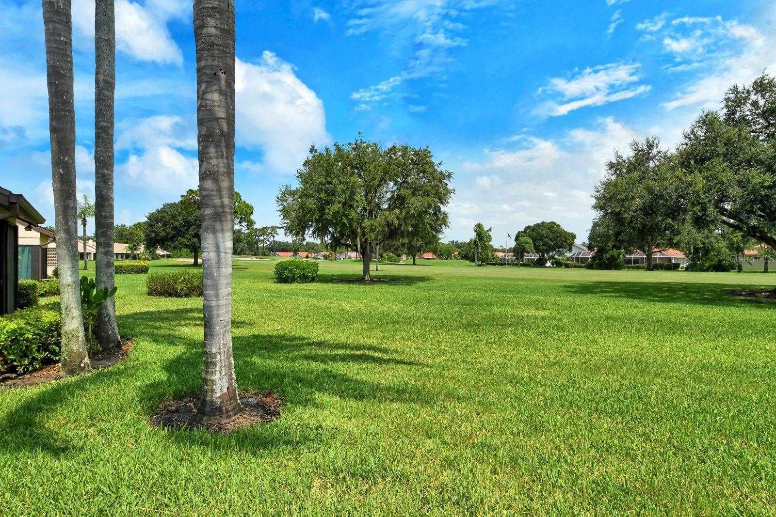 6041 CLUBSIDE DR #6041 — photo 43