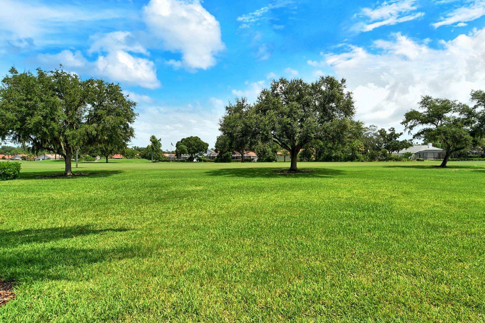 6041 CLUBSIDE DR #6041 — photo 42