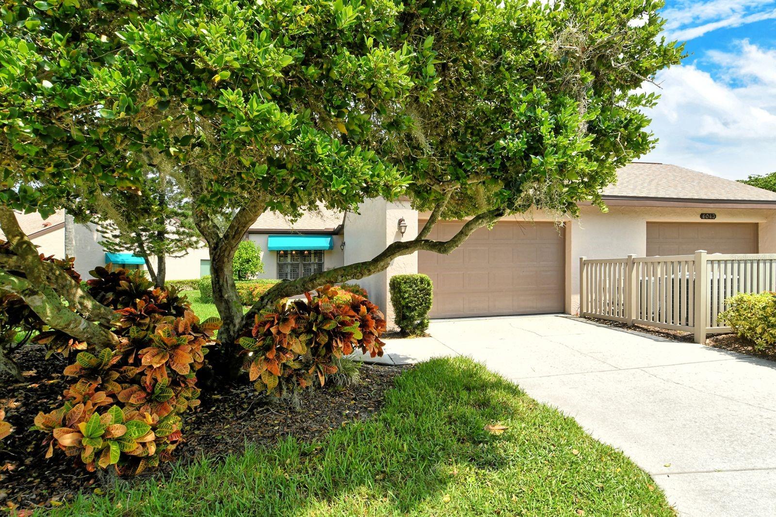 6041 CLUBSIDE DR #6041 — photo 2