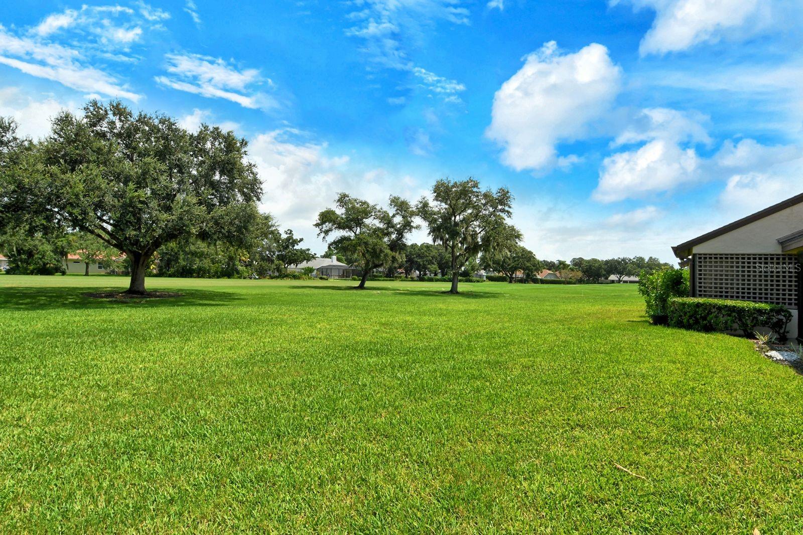 6041 CLUBSIDE DR #6041 — photo 41