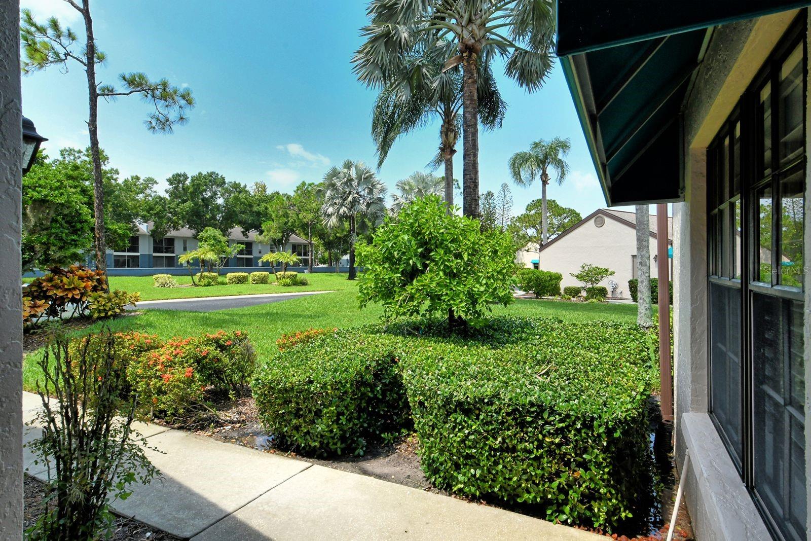 6041 CLUBSIDE DR #6041 — photo 6