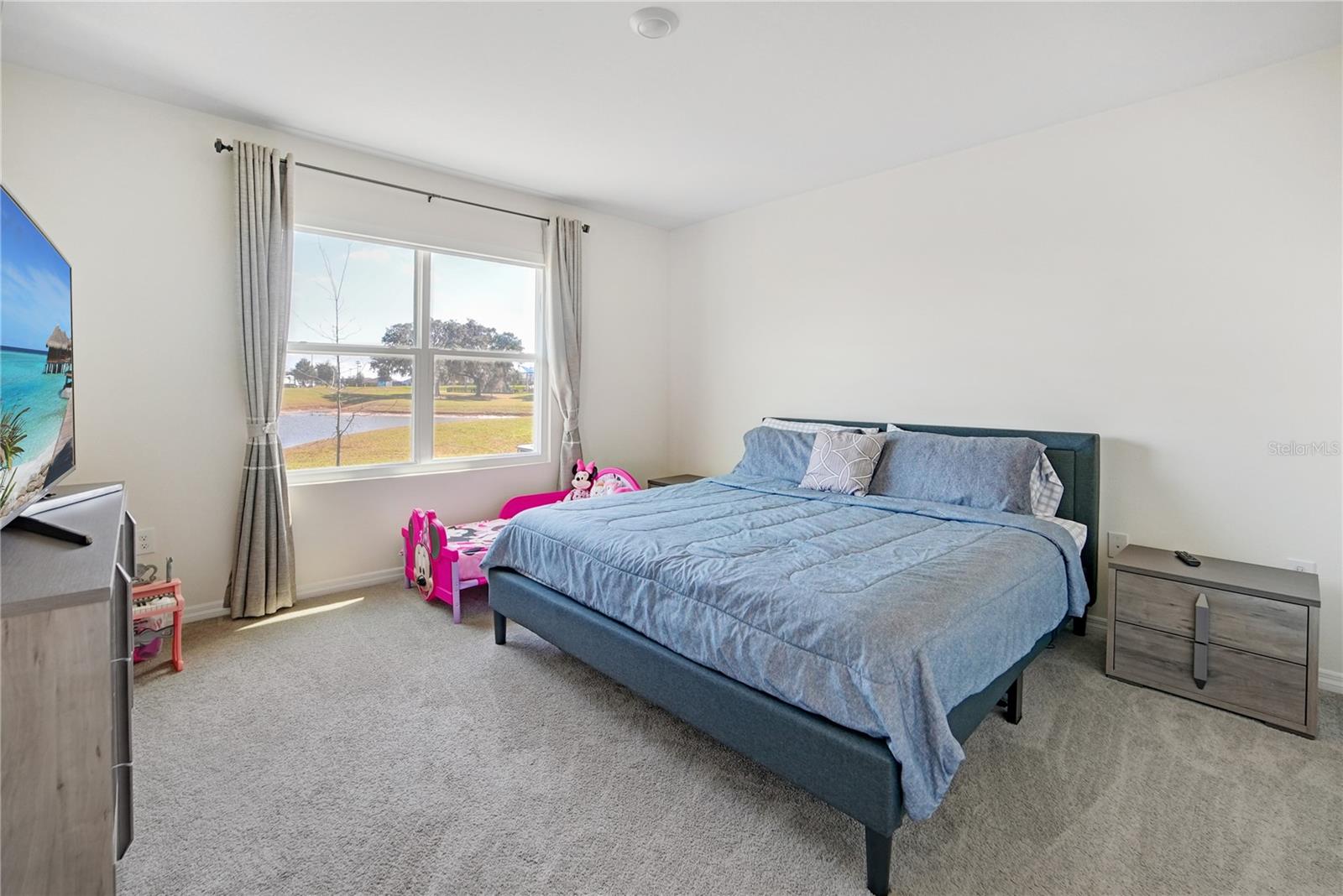 10665 PENNY GALE LOOP — photo 13