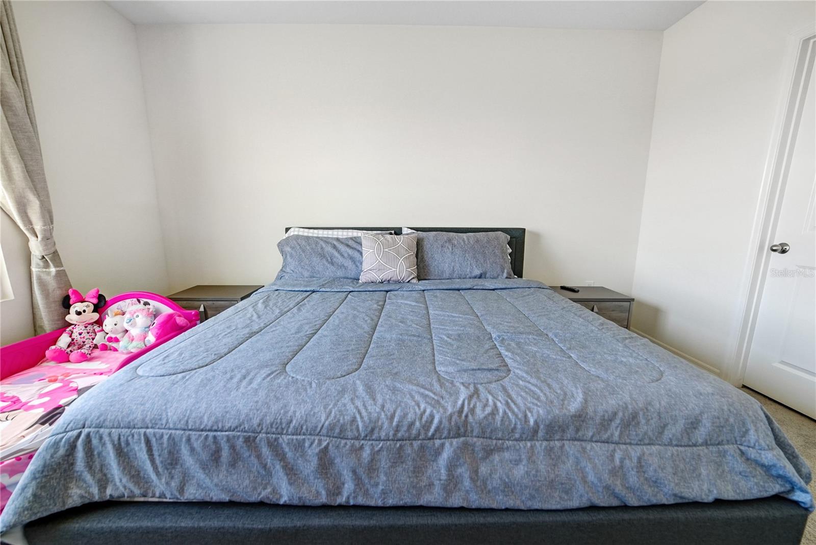 10665 PENNY GALE LOOP — photo 14