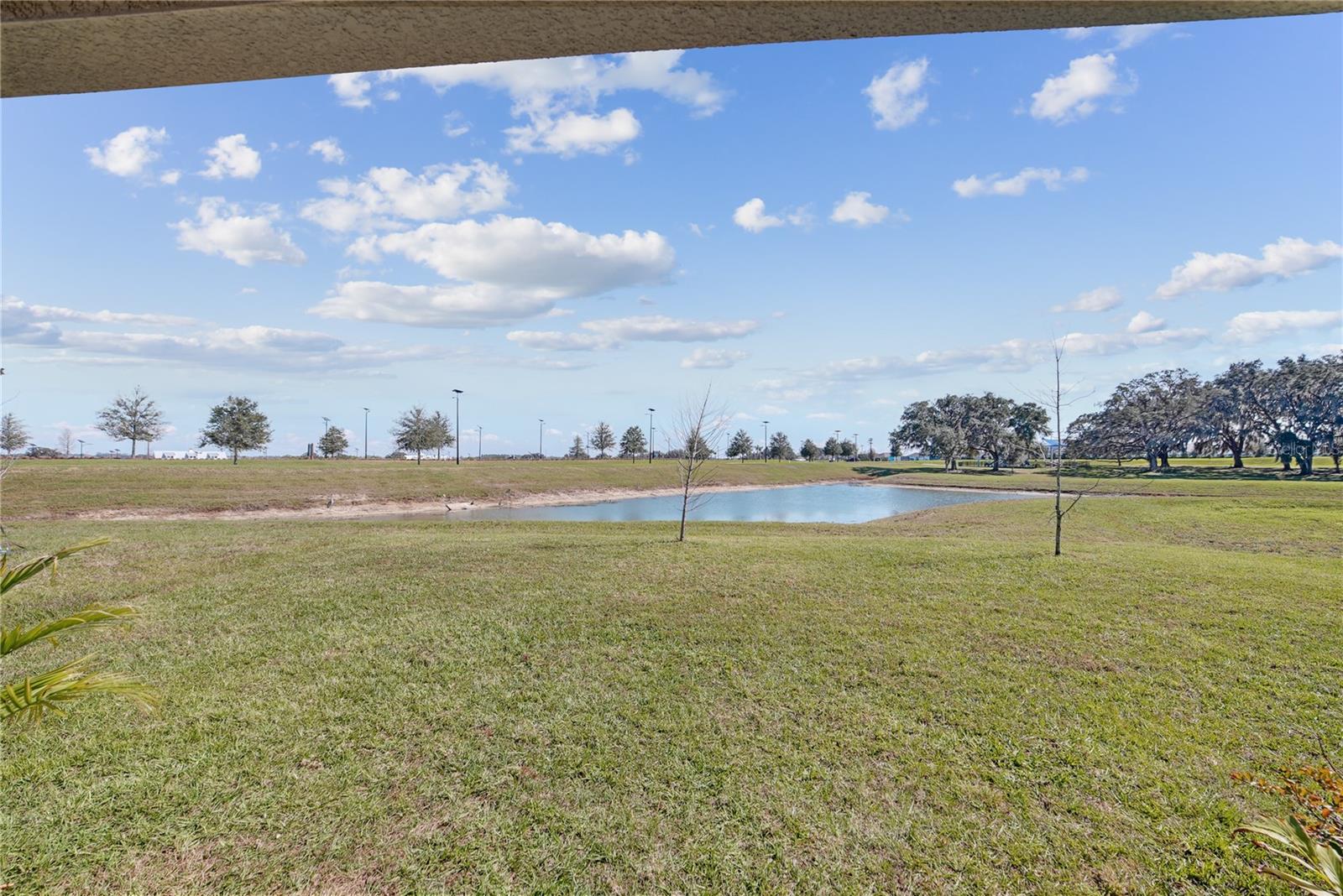 10665 PENNY GALE LOOP — photo 31