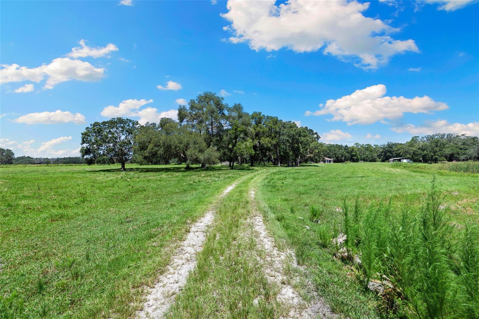 14765 US HIGHWAY 41 — photo 49