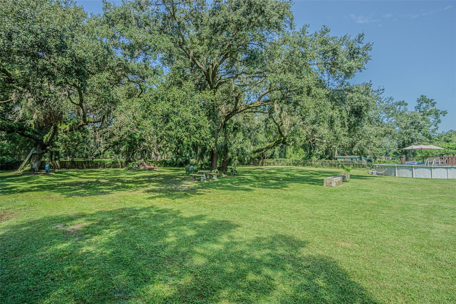 3349 OAKWOOD DR — photo 52