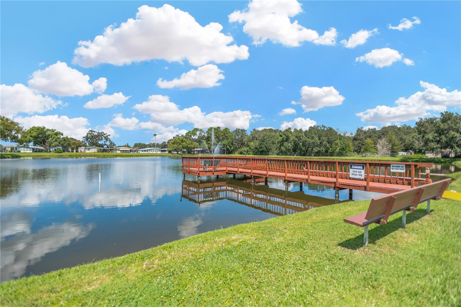 34310 LODGE DR — photo 30