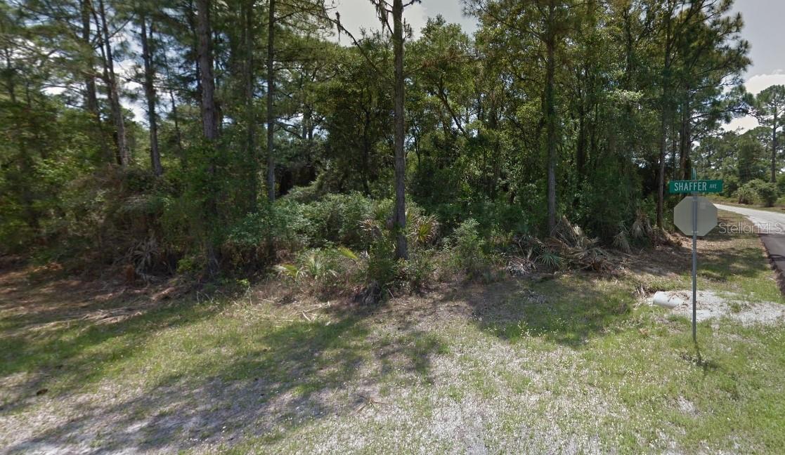 LOT 35 DORIE ST — photo 3