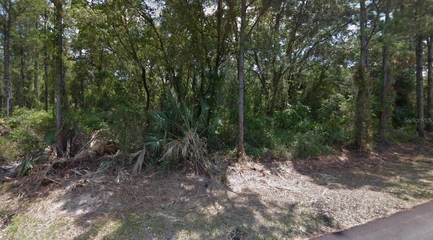 LOT 35 DORIE ST — photo 2