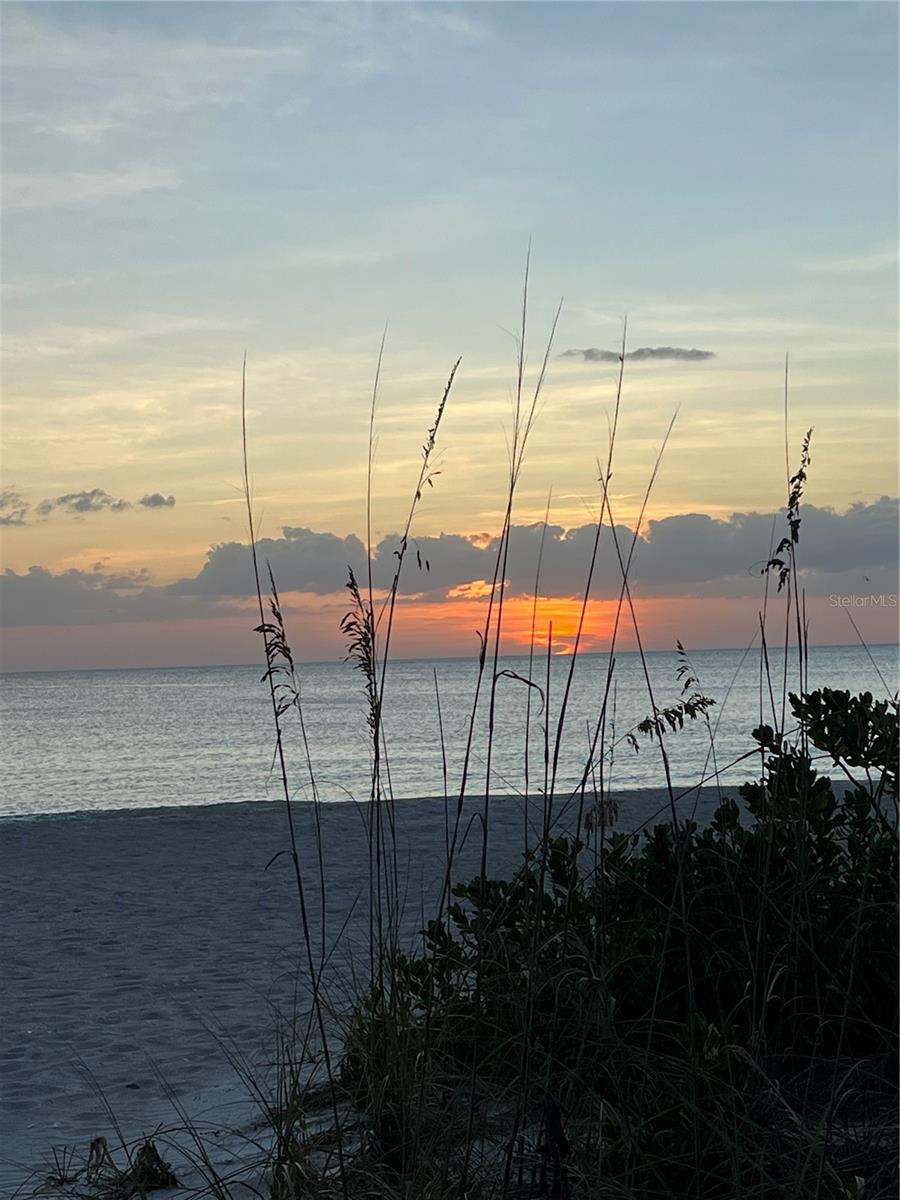 2425 GULF OF MEXICO DR #11F — photo 32