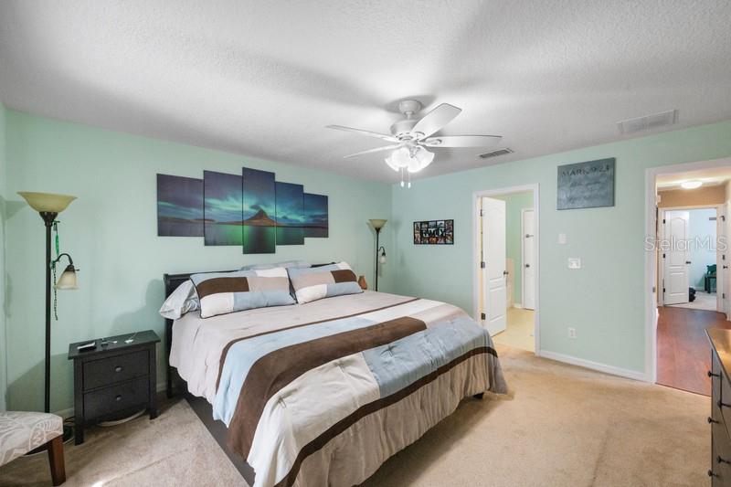 4564 LIMERICK DR — photo 20