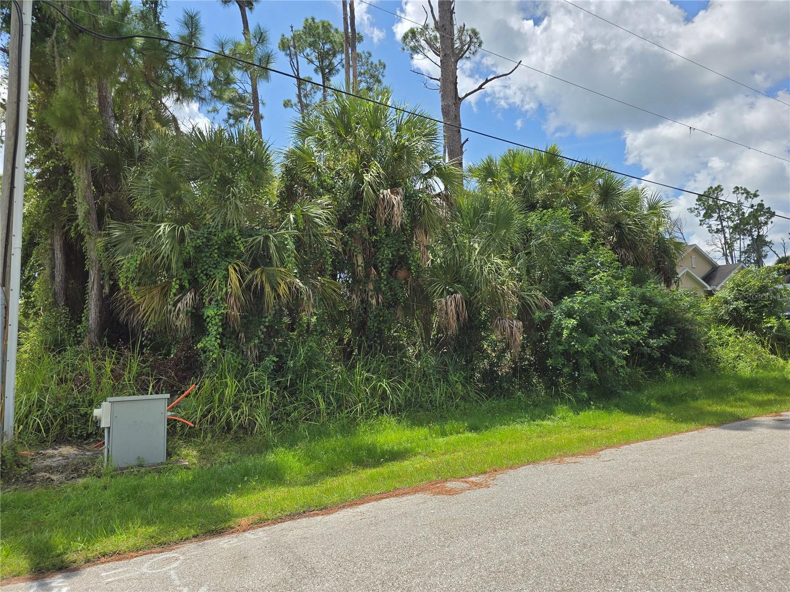 TRENTWOOD LN — photo 3
