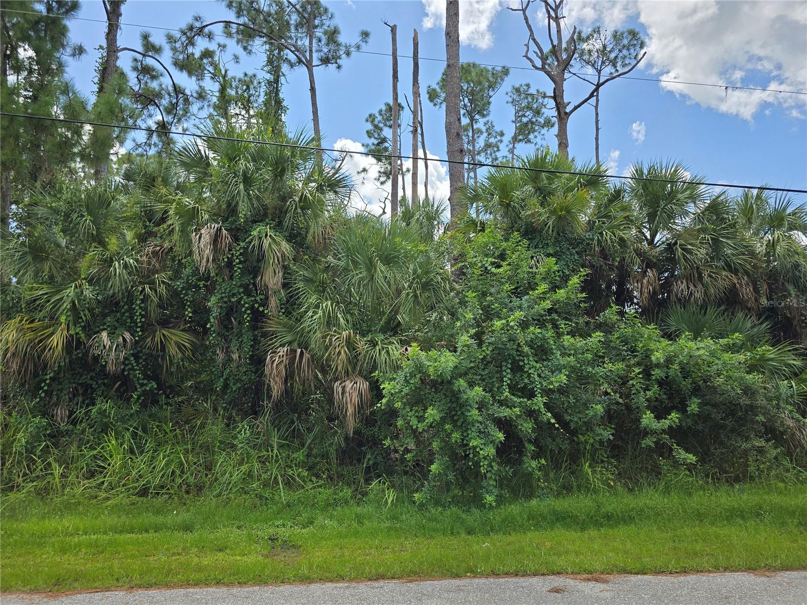 TRENTWOOD LN — photo 4